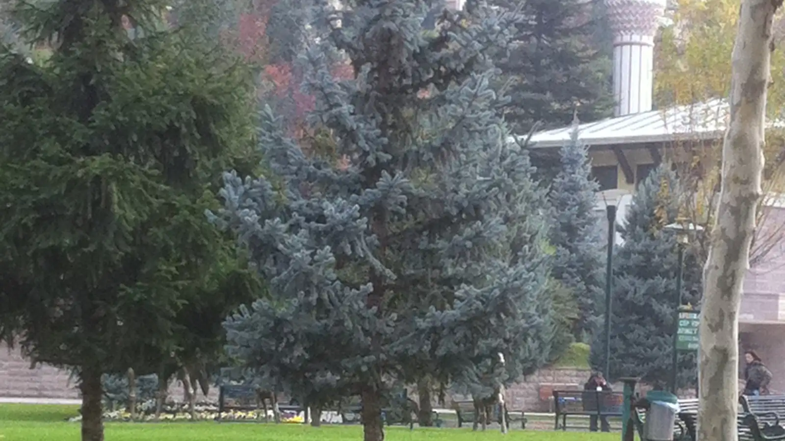 Dikmen Vadisi, Çankaya