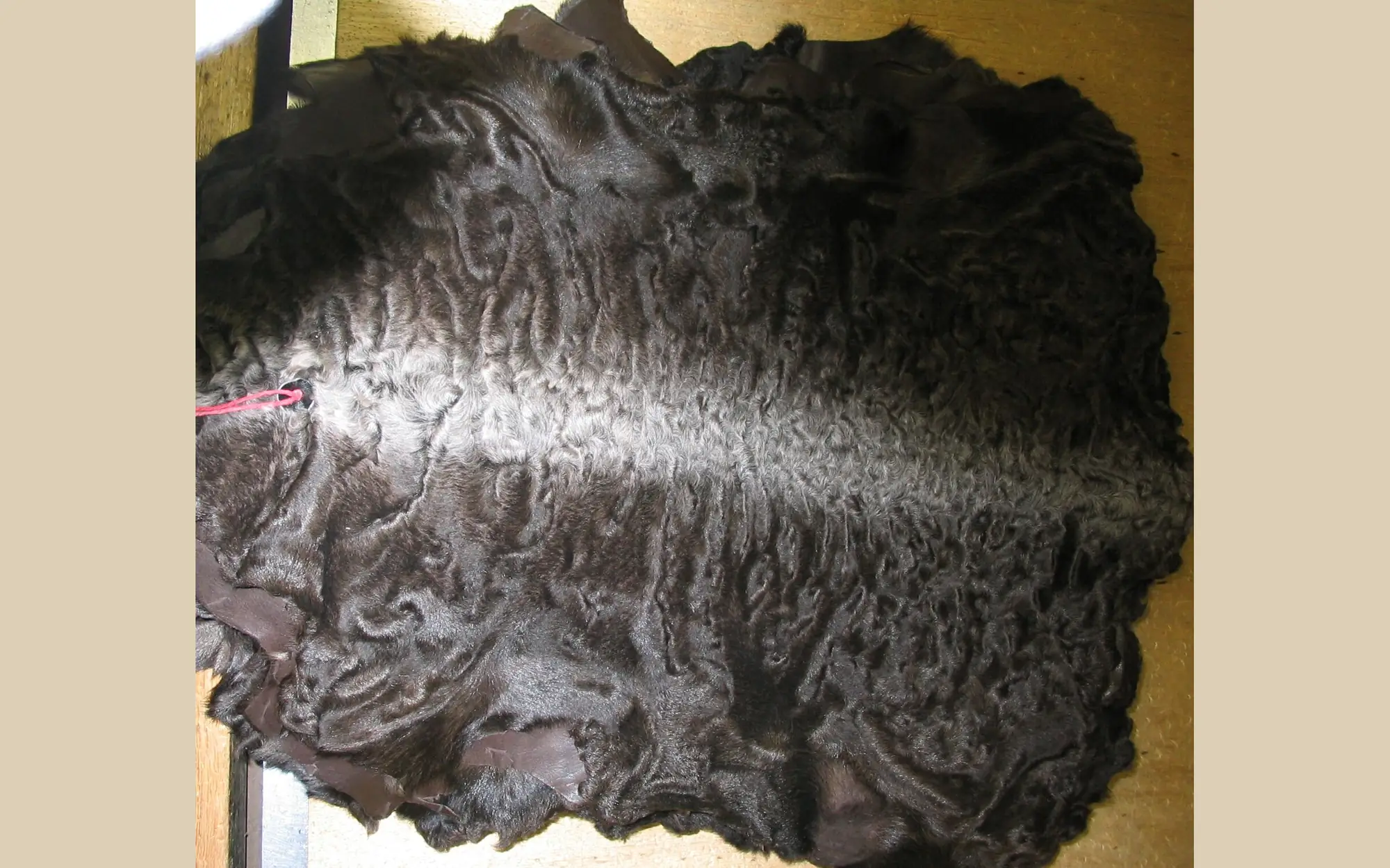 Astragan (karakul) deri dokusu